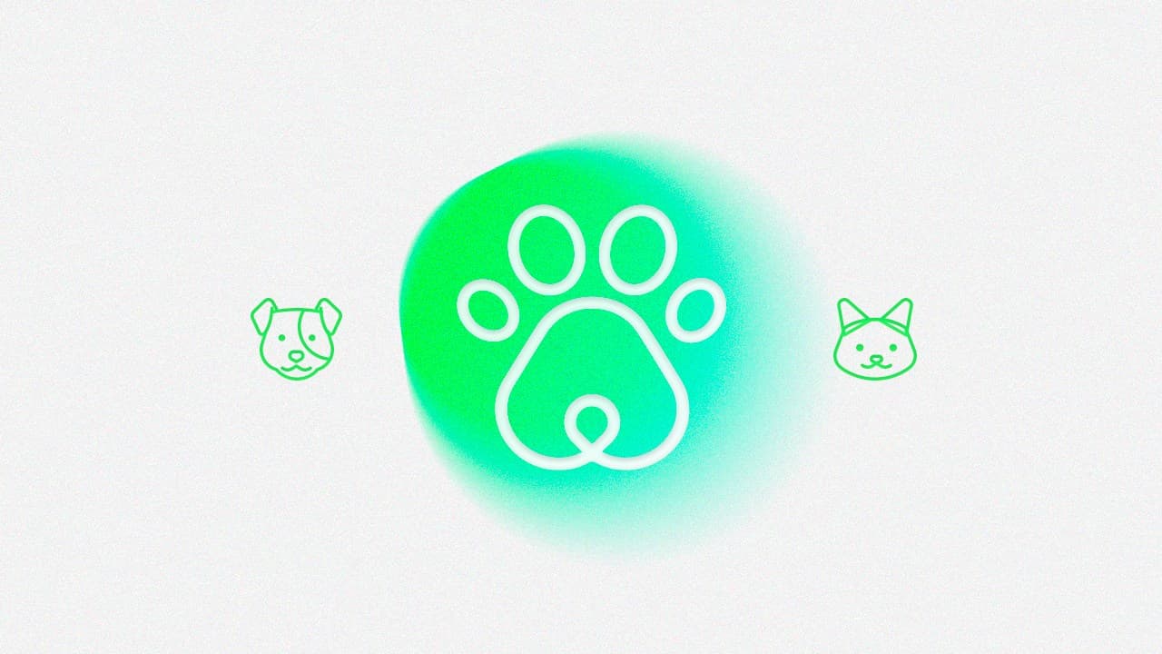 A imagem tem fundo branco. No centro, em destaque, vemos a figura de uma pata de cachorro circulada na cor verde. À esquerda temos a figura de um cachorro, e à direita a de um gato.